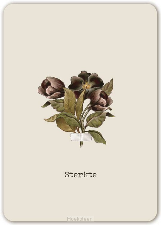 Je bent een parel in Gods hand