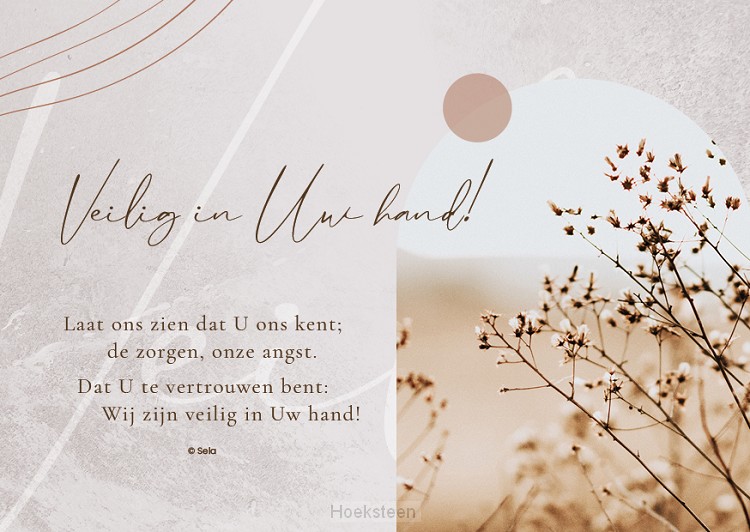 Enkele Kaart Veilig in Uw hand