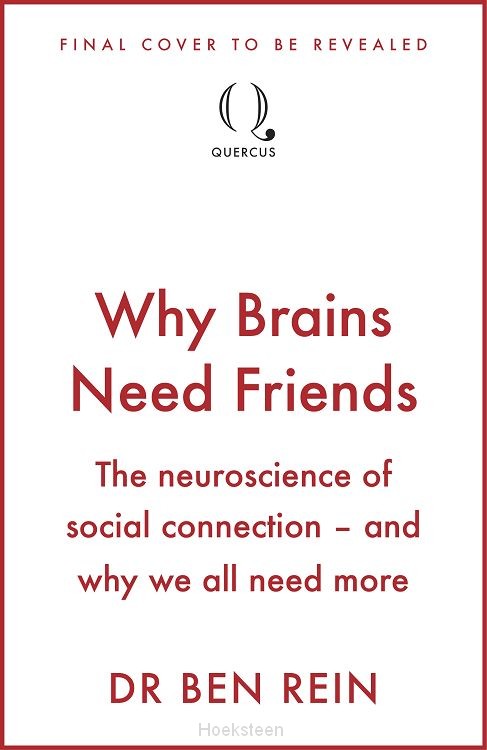 Why Brains Need Friends