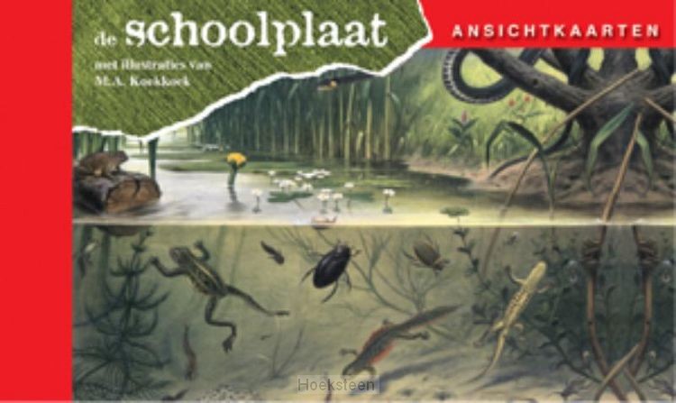 Ansichtkaarten, de Schoolplaat / In Ons Land