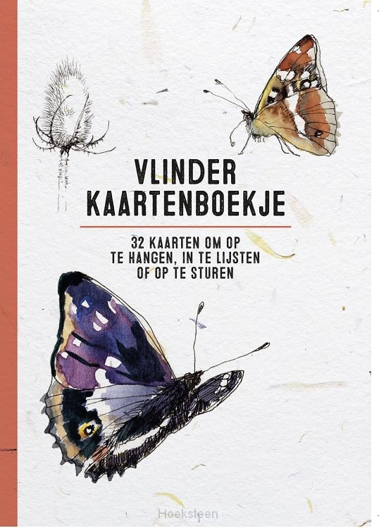 Vlinder kaartenboekje