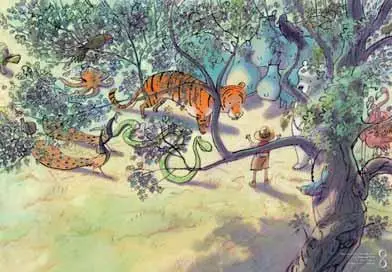 Poster Temmer Tom ( pak 25 ex )