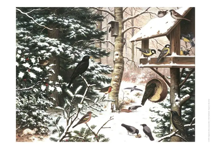 Schoolplaat Vogels in de Winter