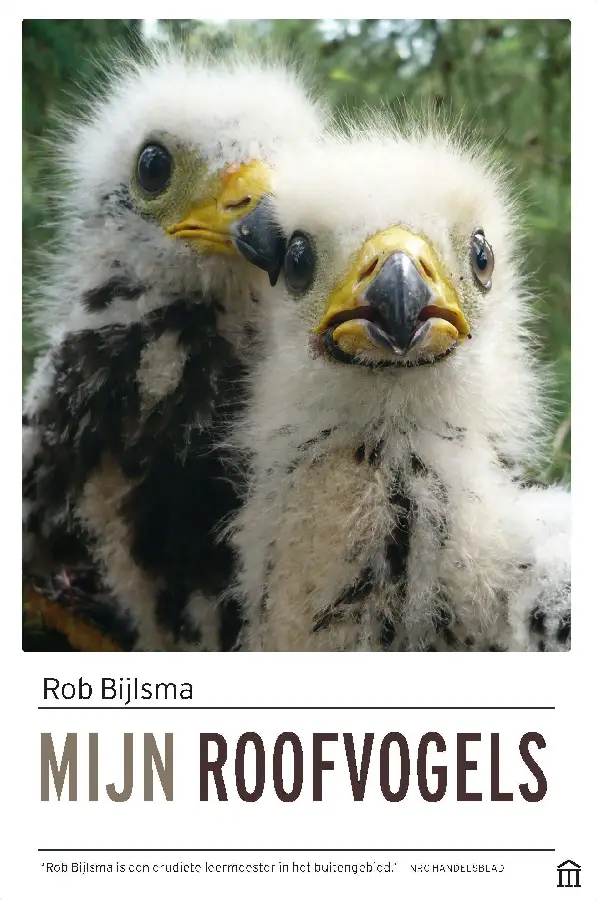 Mijn roofvogels