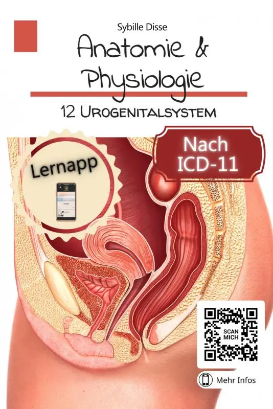 Anatomie & Physiologie Band 12: Urogenitalsystem