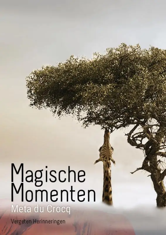 Magische momenten