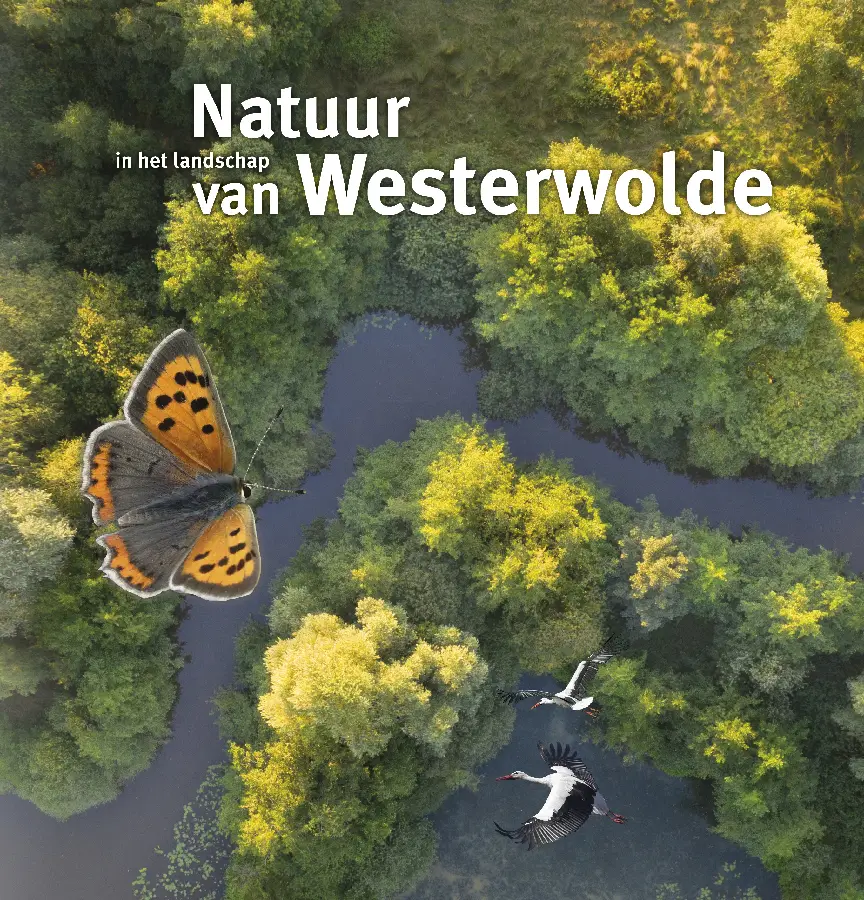 Natuur in het landschap van Westerwolde