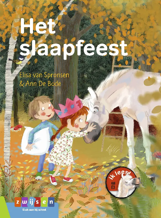 Het slaapfeest