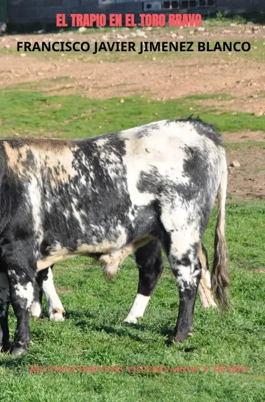 EL TRAPIO EN EL TORO BRAVO