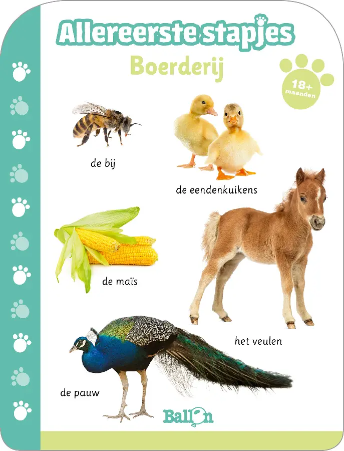 Boerderij wesp  1+