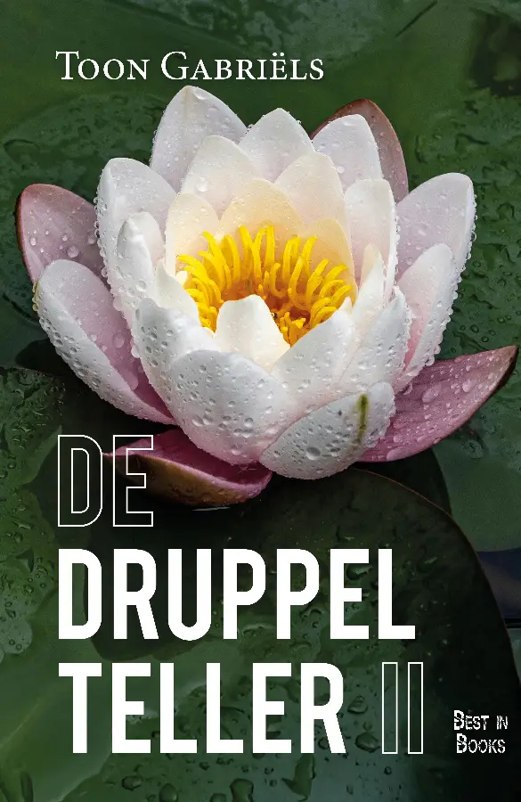 De Druppelteller / II