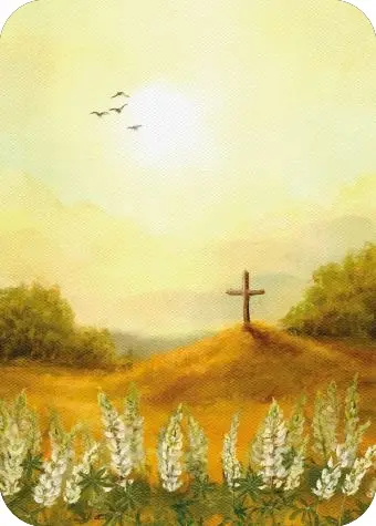 Labeltje Gefeliciteerd met je Belijdenis