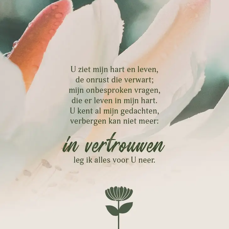 Enkele Kaart U bent aanwezig