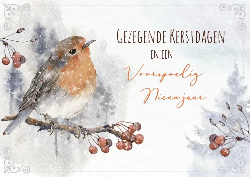 Map 5 Prentbriefkaarten Gez. K/N