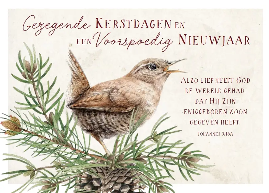 Map 5 Prentbriefkaarten Gezegende K/N