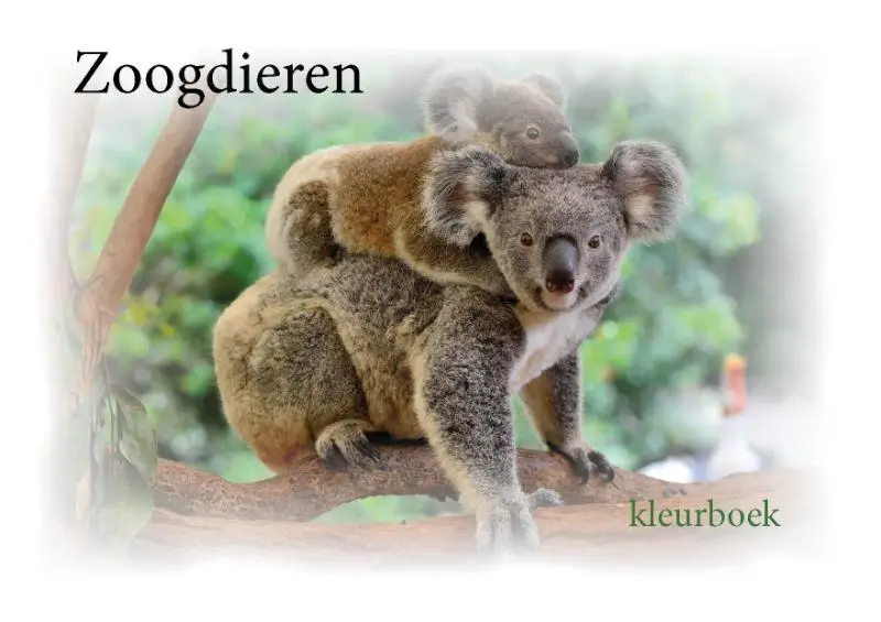 Kleurboek zoogdieren