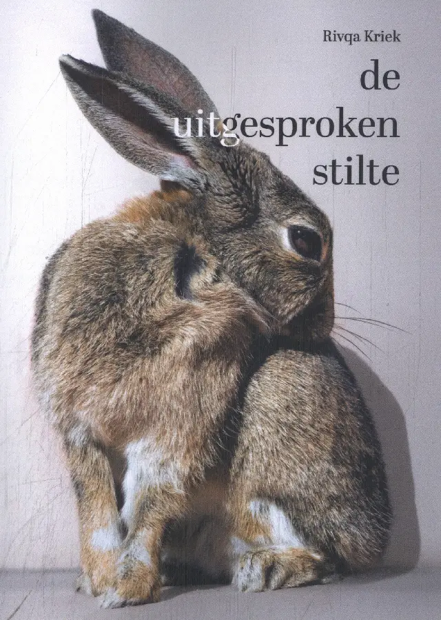 De uitgesproken stilte