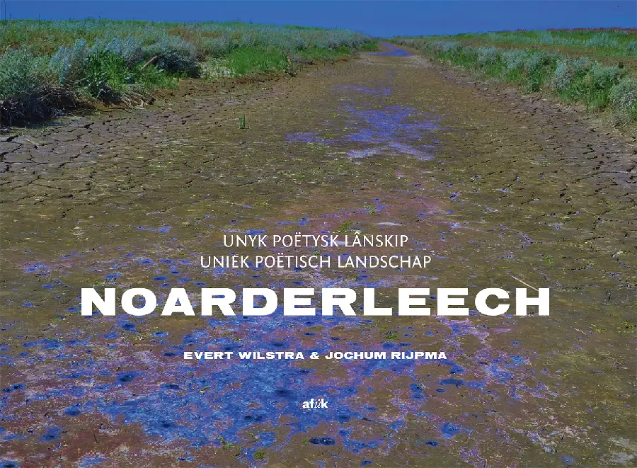 Noarderleech