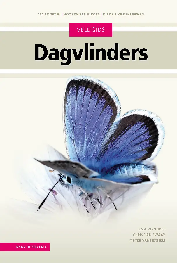 Dagvlinders