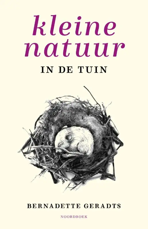 Kleine natuur in de tuin