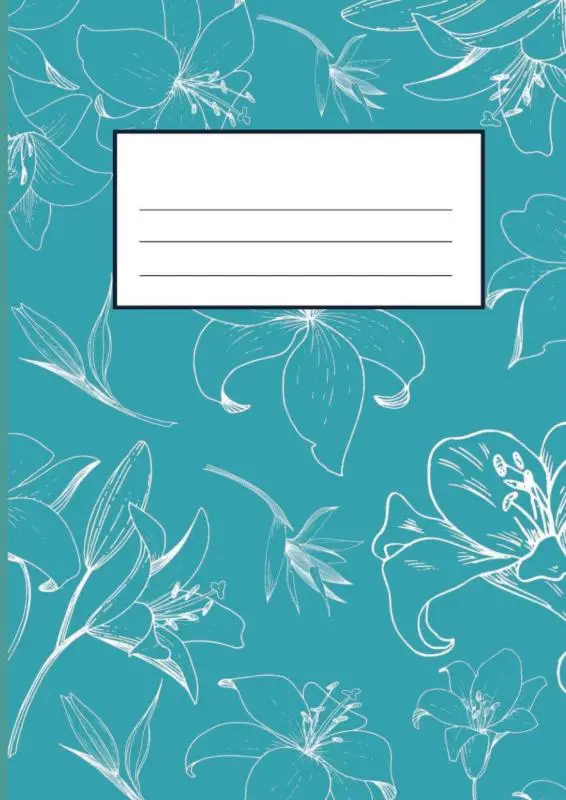 Schulhefte College Ruled