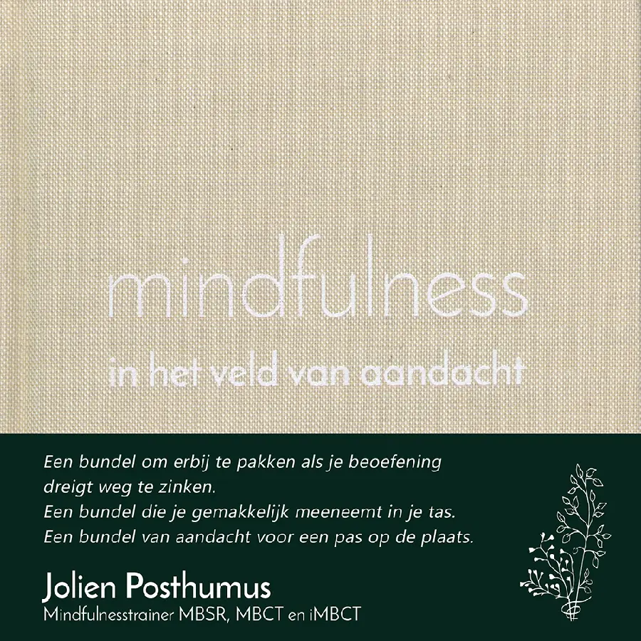 mindfulness in het veld van aandacht