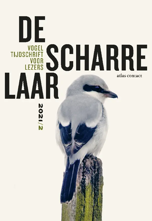 De scharrelaar / 2021/2