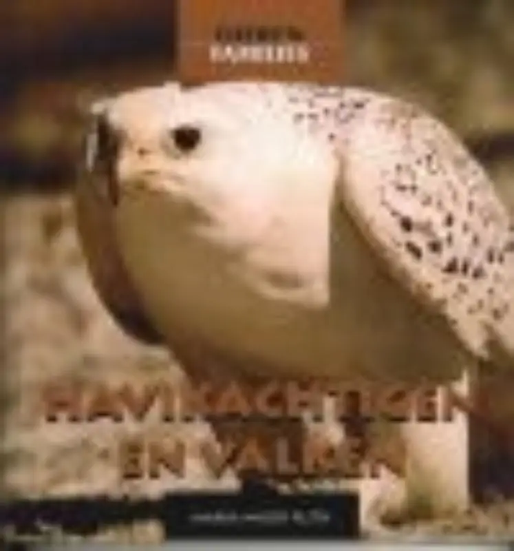 Havikachtigen en valken