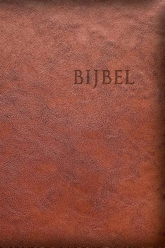 HSV Edge Line - bruin