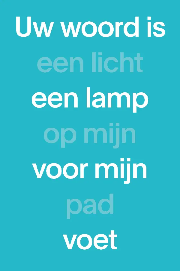 NBV1 Paperback (blauw)