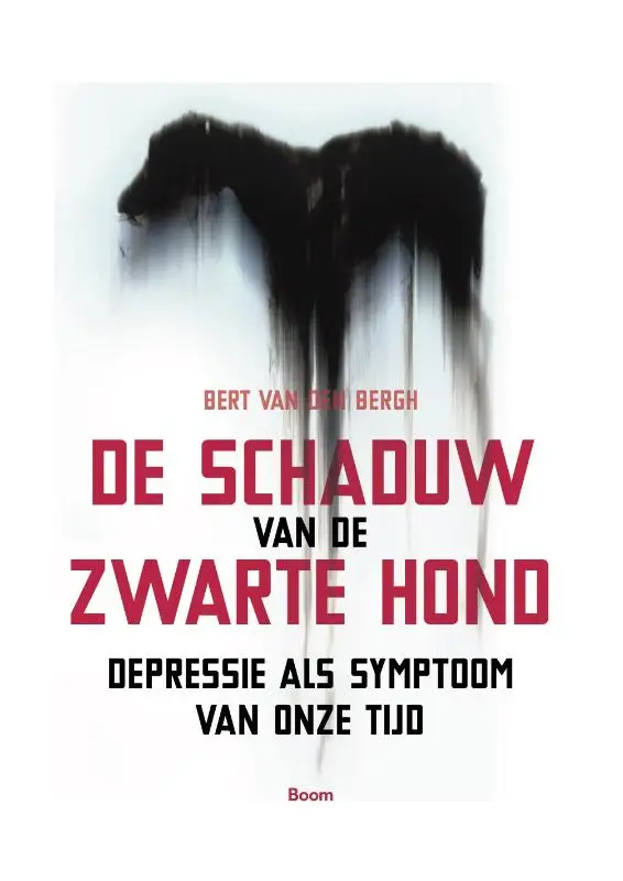 De schaduw van de zwarte hond