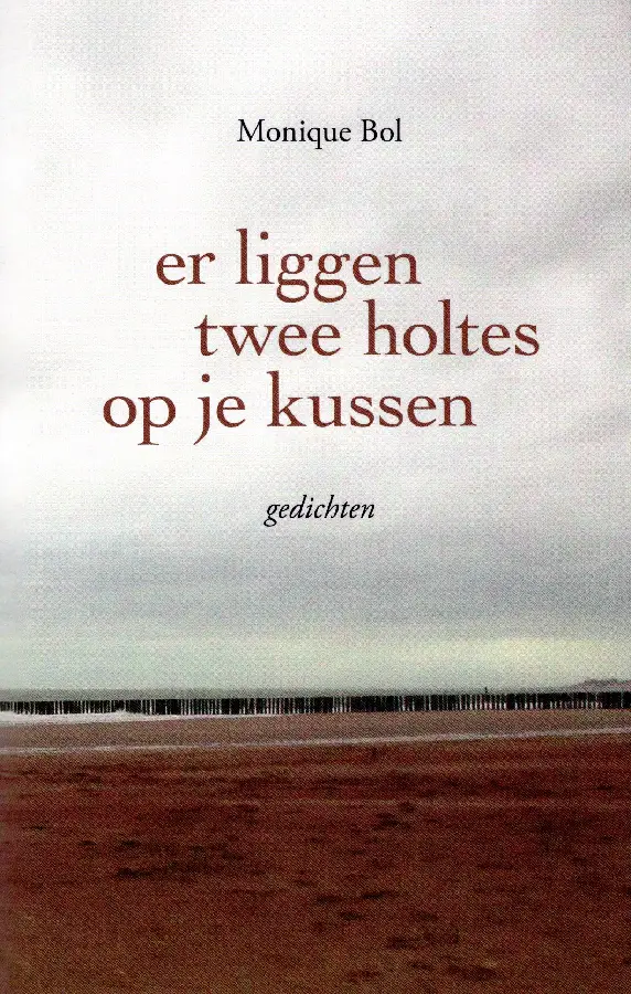 Er liggen twee holtes op je kussen